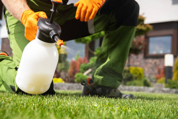 Best Best Pest Control Companies  in Tornado, WV