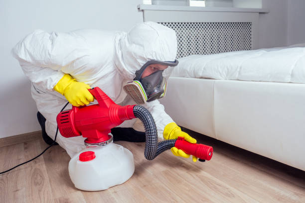 Flea Control Services in Tornado, WV