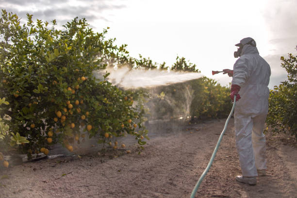 Pest Control for Restaurants in Tornado, WV