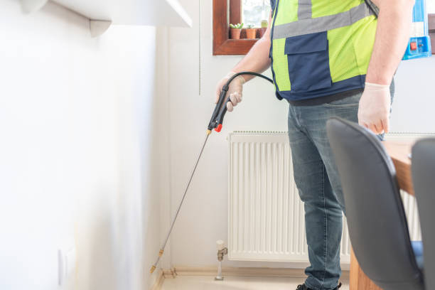 Best Affordable Pest Control Services  in Tornado, WV