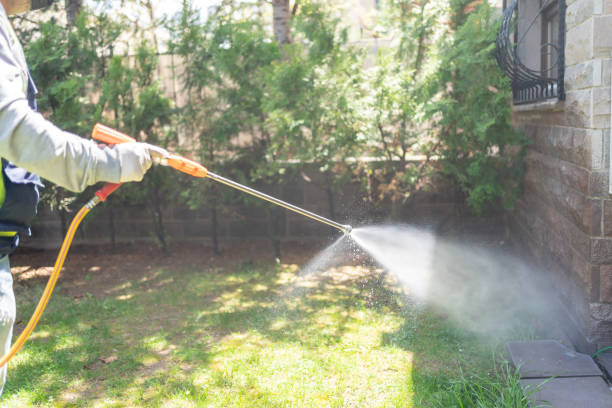 Best Pest Control for Restaurants  in Tornado, WV