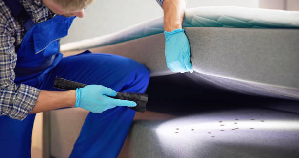 Best Exterminator Services  in Tornado, WV