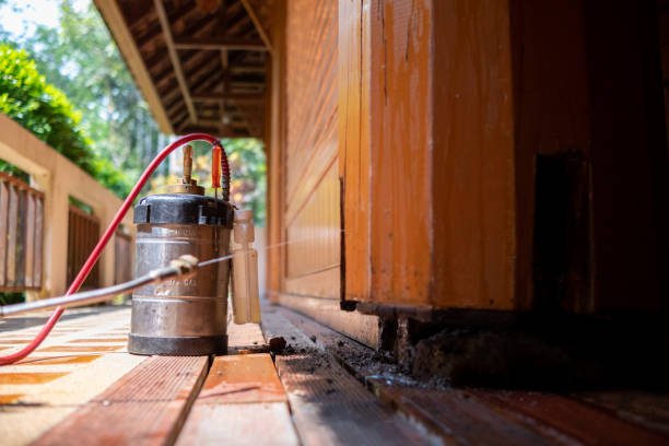 Best Termite Control Services  in Tornado, WV